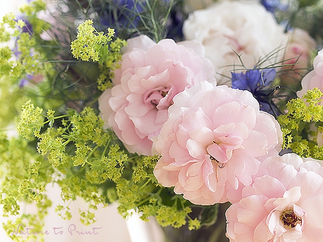 Ein Blumenstrauß aus dem Rosengarten. | Blumenbild Rosenstrauß mit Bonica und Frauenmantel