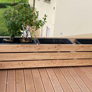 Heute private "Einweihungsparty" für meinen neuen Naschgarten auf dem Garagendach. Unterm Maulbeerbaum sitze ich morgens gerne zum Frühstück. Früher, ohne Baum, im Sommer undenkbar, weil viel zu heiß.
Die Kästen sind nicht von der Stange, sondern von einem regionalen Bauschreiner aus dicken kanadischen Lärchenbohlen gebaut. Darin stehen meine bisherigen Pflanzkübel / Blumentöpfe (40 x 40 cm) erhöht, so dass Wasser immer gut ablaufen kann.
Im Naschgarten wachsen Erdbeeren und ab heute 1 Schwarze Johannisbeere und 2 Maibeeren. Dazu 2 Zucchini im Topf (gerade nicht im Bild zu sehen, tragen aber schon).
#Garten #Dachgarten #Gartengestaltung #Terrasse #Naschgarten #hochbeetliebe #wpcdecking #obstgarten #schreiner #schreinerei