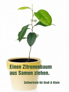 Wenn dir das Leben Zitronen gibt, ...
zieh einen Zitronenbaum
Lust auf ein schnelles, grünes Erfolgserlebnis auf dem Fensterbrett? Einen Zitronenbaum aus Kernen zu ziehen ist einfach und macht auch Kindern sehr viel Spaß. Los geht's mit einer Bio-Zitrone aus dem Supermarkt.
Im Blog: Einen Zitronenbaum selber ziehen. Zeitvertreib für große und kleine Hobbygärtner.
https://www.wo-blumenbilder-wachsen.de/einen-zitronenbaum-selber-ziehen-zeitvertreib-fuer-kleine-und-grosse-hobbygaertner/
Kurz: https://www.insbeet.de/Zitronenbaum
#zitronen #anzucht #mediterran #gärtnern #pflanzenpflege #gartenwissen #gartentipps #grünerdaumen #pflanzentipps #pflanzenliebe #zimmerpflanzenliebe #blumentopf #meingrünundalles #pflanzenideen #pflanzenpower #pflanzenwissen #zimmerpflanzen #ziergarten #wirliebenpflanzen #zimmerpflanze #gärtnernmachtglücklich #topfpflanzen #orangerie #querbeet #grüneoase #nachhaltigesgärtnern #urbanjungleblogger #obstgarten #gartenblog #hobbygärtner