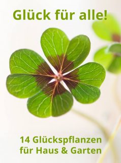Glück für alle!

Glückspflanzen versprechen Glück für jeden und für alle Lebenslagen. Doch welche Pflanze symbolisiert für wen welches Glück? Je nach Region gibt es da erhebliche Unterschiede - und Feinheiten. Glück, so scheint es, spricht überall eine andere Sprache. Spannend!

14 Glückspflanzen für Haus & Garten

https://www.blumenbilder.org/14-glueckspflanzen-haus-garten/
Kurz: https://www.insbeet.de/Glueck

#pflanzen #liebe #glück #freude #gesundheit #wohlstand #erfolg #zukunft #zimmerpflanzen #freunde #gesund #gewinnen #heilpflanzen #reichwerden #vertrauen #energie #wissen #achtsamkeit #erfolgreich #pflanzenpower #lebensfreude #glücklichsein #ziele #neuesjahr #hoffnung #ziel #glücklich #karriere