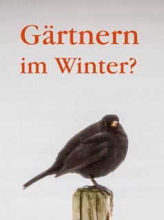 Stopp! Kein Gärtnern im Winter!

Einerseits juckt es Gartenfreunden schon in den Fingern. Andererseits ist der Garten zugeschneit. Sollte was blühen, dann Eisblumen.

Gärtnern im Winter bedeutet abwarten. Erst ab März reicht das Licht, damit aus Sämlingen am Fensterbrett gesunde Jungpflanzen heranwachsen. Davor heißt es: Ruhe bewahren und die neue Gartensaison zu planen. Gerne auch klassisch mit Stift auf Papier.

Ausnahme:

Knollenbegonien brauchen sehr viel Zeit und können bereits ab Ende Januar vorgetrieben werden.

Im Blog: Gärtnern im Winter
https://www.mein-blumenbild-des-tages.de/gaertnern-im-winter/

Kurz: https://www.insbeet.de/wintergaertnern

#gärtnern #winter #amsel #schnee #natur #ruhegönnen #garten #begonie #knollenbegonie #anzucht #aussaat #pflanzenliebe