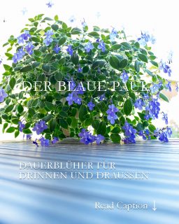 Der Blaue Paul
Der Blaue Paul heißt botanisch Streptocarpus saxorum und kommt, wie das Usambara Veilchen aus Afrika. Die Zimmerpflanze blüht quasi das ganze Jahr und lässt sich durch Stecklinge kinderleicht vermehren.
Mein Blauer Paul verbringt ab Mitte Mai bis Oktober draußen in der Sommerfrische und das bekommt ihm sehr gut. Im August habe ich neue Stecklinge von ihm gemacht und die Pflanzen haben sich inzwischen sehr prächtig entwickelt. Die ersten Knospen sind schon da.
Falls Sie den Blauen Paul in einer Gärtnerei entdecken, nehmen Sie ihn unbedingt mit. Sie werden nichts als Freude mit ihm haben. Vorausgesetzt, Standort und Pflege stimmen.
Alles weitere im Blog:
https://www.blumenbilder.org/der-blaue-paul-beschert-blaue-bluetenpracht-fuer-drinnen-und-draussen/
Kurzlink: https://www.insbeet.de/BlauerPaul
#zimmerpflanze #zimmerpflanzenliebe #pflanzendeko #pflanzenfreunde #wirliebenpflanzen #pflanzenpower #pflanzenwelt #pflanzenwissen #büropflanze #nachhaltiggärtnern #anzucht #pflanzenfreude #plantsathome #grüneoase #blumenmachenglücklich #pflegeleicht #gärtnernmachtglücklich #pflanzenpflege #meingrünundalles #paul #zimmerpflanzen #topfpflanzen #afrika #grünerdaumen #gartentipps #gärtnern #zierpflanzen #gartenwissen #urbanjungleblog