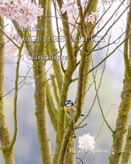 Der vogelfreundliche Garten ... easy to do

Wer vogelfreundlich hört, denkt derzeit vielleicht nur Meisenknödel. Zu kurz gedacht! Der vogelfreundliche Garten kann und sollte weitaus mehr bieten als Futtersilo und Meisenknödel.

Jetzt ist ein guter Zeitpunkt, diesen 11-Punkte-Plan Stück für Stück umzusetzen. Angefangen beim Pflanzen natürlicher Nahrungsquellen für Vögel über Sicht- & Singwarten bis hin zu guten Nist-, Brut- und Schlafplätzen.

Was Vögel wirklich zum Leben brauchen und wie sie ihren Garten bereichern.

11 Praxistipps für gärtnernde Vogelfreunde.
https://www.wo-blumenbilder-wachsen.de/vogelfreundliche-garten-11-tipps/

Kurz https://www.insbeet.de/vogelfreundlich

#garten #vögel #gartenvögel #naturnah #gartenliebe #meise #amsel #vogelbeobachtung #vogel #gartengestaltung #gartenarbeit #naturgarten #gartentipps #gärtnern #gartentipp #gartenwissen #gartenglück #ziergarten #gartenfragen #meingarten #pflanzenfreunde #kleingarten #pflanzenpflege #insekten #pflanzen #insektenfreundlich #artenvielfalt #schönergarten #bienenweide #blumengarten