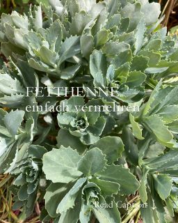 Fetthenne vermehren einfach, schnell und sicher
Fetthennen, bot. Sedum spectabile, sind sukkulente Pflanzen mit dickfleischigen Blättern und Stängeln. Die Bienenpflanzen trotzen Hitze und Trockenheit, sind absolut pflegeleicht, wachsen vorzüglich auf mageren Boden, müssen in der Regel nicht gegossen werden. Lauter gute Gründe, möglichst viele Fetthennen zu pflanzen.
Wie gut, dass man Fetthennen so einfach und zuverlässig vermehren kann. Idealerweise geschieht dies bereits im Mai. Beim dem Chelsea-Schnitt fallen ja jede Menge Kopfstecklinge an. Aber man kann Fetthennen auch durch einzelne Blätter vermehren.
+ Kopfstecklinge schneiden
+ Stecklinge unten herum entblättern damit jeder Steckling einen kleinen Stiel hat.
+ Optional einen halben Tag antrocknen lassen,
+ in Töpfchen mit Aussaaterde stupsen,
+ Töpfchen in eine durchsichtige Aufbewahrungsbox mit Deckel stellen,
+ leicht angießen / besprühen und schattig aufstellen.
+ Täglich lüften, damit nichts schimmelt 
+ und abwarten.
Sobald sich Wurzeln gebildet haben und erstes frisches Grün erscheint, kann der Deckel weg. Danach warten bis die Töpfchen gut durchwurzelt sind, sonniger aufstellen und dann kann man schon die Jungpflanzen in den Garten setzen.
Vom Steckling bis zur bewurzelten Jungpflanze dauert es nur 4-6 Wochen.
Im Blog: Fetthenne sicher vermehren
https://www.wo-blumenbilder-wachsen.de/fetthenne-vermehren/
Kurz: http://www.insbeet.de/Fetthenne_vermehren
#staudengarten #fetthenne #sedum #sukkulent #lebenmitblumen #anzucht #gartenwissen #gartentipps #gartenfragen #meingarten #pflanzen #gartenblog #blumengarten #bienenfreundlich #insektenfreundlich #naturgarten #gärtnern #stauden #gartentipp #wildbienen #bienenweide #grünerdaumen #gartenliebe #pflanzenpflege #gartengestaltung #blumenfotografie #schönergarten #pflanzenwissen #landhausgarten #garteninspiration
