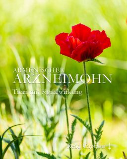 Armenischer Arzneimohn, Papaver bracteatum, ist eine pflegeleichte Staude mit gigantisch großen, tiefroten Blüten auf hohen, sehr stabilen Stielen. Spektakulär!
+ Standort volle Sonne, aber im hinteren Bereich des Beetes.
+ Normaler Gartenboden, auch schwerer Lehmboden.
+ Besonderheit: Arzneimohn zieht sich nach der Blüte zurück. Frische Blätter erscheinen erst wieder im Herbst
+ Arzneimohn wird in der Pharmazie zur industriellen Herstellung von Codein, Morphin und anderen Analgetika. Die Pflanze ist bei uns dennoch nicht verboten. Im Gegensatz zu Schlafmohn
Im Blog: Armenischer Arzneimohn, Video, viele Bilder, Pflanzpartner und Vermehrung:
https://www.wo-blumenbilder-wachsen.de/armenischer-arzneimohn/
https://www.insbeet.de/armenischer_arzneimohn
#mohn #staudenmohn #papaver #poppy #klatschmohn #orientmohn #arzneimohn #pflanzen #pflanzenliebe #plants #blumen #staudengarten #staudenbeet #flowerporn #gartengestaltung #blumenwissen #natur #meinschönergarten #gartenwissen #gartentipps #garten #schlafmohn #gartenvideo #blumengarten #gartenfragen #gartenliebe #lebenmitblumen #gartenblog