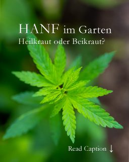 Hanf im Garten
Heilkraut oder Beikraut?
Hanf wächst oft von ganz alleine im Garten. Wie das? Vogelfutter enthält auch Hanfsaat. Fällt es bei der Vogelfütterung herunter, entdeckt man ab Mai oft Hanfsämlinge unter der Futterstelle. Es handelt sich dabei allerdings um Nutzhanf, ohne medizinische Wirkstoffe.
+ Aus den Sämlingen wird Nutzhanf, nicht hübsch, nicht lohnenswert, kann m. e. weg.
+ Aus Nutzhanf werden schon seit Jahrhunderten Seile, Textilien, Papier, Dämmstoffe und anderes hergestellt.
+ Medizinalhanf aka Cannabis enthält CBD und THC. Er wird bei schweren Erkrankungen zur Schmerztherapie verwendet.
+ Man kann Cannabis auch im Garten kultivieren, aber Aussaat und Pflege sind sehr komplex und zudem streng reglementiert.
Im Blog: Cannabis im Garten. Legal, aber anspruchsvoll
https://www.wo-blumenbilder-wachsen.de/cannabis-im-garten/
Kurzlink: https://www.insbeet.de/Cannabis
#hanf #cannabis #Heilkraut #unkraut #vogelfutterselbstgemacht #vogelfutter #garten