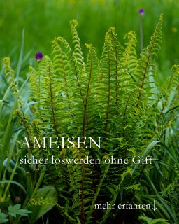 Ameisen loswerden, aber sicher und ohne Gift
Ameisen sind nützliche Tiere und gehören in den Garten. Dort räumen sie auf, sind Geburtshelfer für Schneeglöckchen, Schachbrettblumen und andere Pflanzen. Aber manchmal stören Ameisen auch, beispielsweise auf der Terrasse oder im Haus. Giftköder auszulegen ist keine gute Idee, denn der Köder vergiftet auch Menschen, Hunde, Katzen etc.
++ Ameisen umsiedeln mit der Blumentopf-Methode
+ Topf wässern
+ Zerknülltes Zeitungspapier mit Marmelade hinein
+ zusätzlich etwas Zucker
+ Kopfüber auf den Eingang des Ameisennestes stülpen
+ abwarten
+ sobald die Ameisen umgezogen sind Schaufel unter den Topf schieben und das neue Ameisenquartier 10 m weiter im Garten aufstellen. Dieser Standort sollte warm, sonnig und trocken sein.
++ Ameisen mit starken Düften vergraulen
+ Ameisen meiden den Duft von Zimt, Lavendel, Farn, Essig, Zitrone, Thymian
++ Ameisen aus dem Haus fernhalten
Ameisen lieben alles, was süß und eiweißhaltig ist
+++ Keine Bonbon- oder Eispapiere offen liegen lassen
+++ Keine Essensreste liegen lassen
+++ Müll am besten täglich entleeren
+++ Haushalt sauber halten!
Spezial-Tipp von Oma Agnes:
+++ Brotkasten wöchentlich mit Essig auswischen und danach Farmwedel rein-
Ameisen vertreiben ohne Gift
Im Blog: https://www.wo-blumenbilder-wachsen.de/ameisen-vertreiben-ohne-gift/
Kurzlink: https://www.insbeet.de/Ameisen
#haushalt #ameisen #giftfrei #alteswissen #natur #nützling #garten
#terrasse
