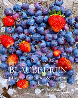 Blaubeeren, Superfood aus dem Topfgarten
Blaubeeren aka Kulturheidelbeeren sind gesund, lecker und wachsen auch im eigenen Garten. Am besten in einem großen sehr großen Pflanzgefäß ab 30 Liter wie Baum-Container, Mörteleimer oder in einem halben Weinfass.
+ Standort: Sonne bis Halbschatten
+++ Boden: sauer, verwenden Sie zum Pflanzen Rhododendronerde.
+ Blüte im März / April
+ Früchte bilden sich, je nach Sorte ab Juni bis September
++ Blaubeeren sind Selbstbestäuber, aber zwei Blaubeeren sorgen für deutlich mehr Ertrag.
Pflege:
+ Gut wässern bei Trockenheit, insbesondere von der Blüte bis zur Ernte.
+++ Mit Regenwasser gießen. Leitungswasser verändert den ph-Wert so dass die Erde mit der Zeit neutral wird, was Blaubeeren nicht gefällt.
+ Düngen mit Blaubeer-, Beeren- oder Rhododendron-Dünger im März und Mitte Juni. KEIN Blaukorn!
+ Totes Holz ausschneiden
+ Altes Holz nach der Ernte oder Anfang des Jahres auslichten. Der Strauch soll sich luftig aufbauen mit ein- und zweijährigen Ästen.
Wuchshöhe & Sorten:
Baumschulen und Gärtnereien führen verschiedene Blaubeer-Sorten, mit der man die Ernte-Zeit verlängern kann. Meine beste Sorte heißt 'Duke', sie wird etwa 160 cm hoch. Andere Sorten werden bis 180 cm groß, was sehr praktisch zum Ernten ist.
+ Man kann Blaubeeren auch im Beet kultivieren, aber am besten auch hier in einem versenkten Mörteleimer, um den Boden sauer und um Feuchtigkeit im Boden besser zu halten.
++++ Sträucher rechtzeitig mit Netz abdecken, denn Vögel lieben Blaubeeren ebenso und sind oft schneller als man selbst.
+ Ernten & verwenden:
Blaubeeren direkt verzehren, sammeln und einfrieren für Marmelade, Kuchen oder Muffins.
Im Blog: Blaubeeren im Garten oder im Pflanzkübel kultivieren
https://www.wo-blumenbilder-wachsen.de/blaubeeren-im-garten-pflanzkuebel/
Kurzlink: https://www.insbeet.de/Blaubeeren
#Superfood #Topfgarten #lecker #Selbstversorger #früchte