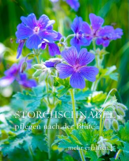 Storchschnabel pflegen nach der Blüte
Storchschnabel, Geranium, ist verblüht? Jetzt ist ein guter Zeitpunkt um die Staude zu schneiden.
+ Verblühte Blütenstängel und Blätter bodentief abschneiden.
Die genügsame Staude treibt anschließend bereitwillig, frisch und grün wieder aus.
Wenn Storchschnäbel alt und blühfaul geworden sind, dann lohnt sich das Teilen. Dazu:
+ Ganze Pflanze nach dem Rückschnitt ausgraben.
+ Erde abschütteln, dann den Wurzelstock in mehrere Stücke teilen.
+ Jedes Teilstück braucht mindestens 1 gesunde Sprosse.
+ Kürzen Sie die Wurzeln um ein Drittel
+ Neues Beet gründlich vorbereiten
+ Wurzelunkräuter und andere Beikräuter gründlich entfernen
+ Etwa faustgroße Wurzelstücke in frische Erde pflanzen
+ Abstand von Pflanze zu Pflanze etwa 35 cm
+ Angießen und abwarten
Tipp: In gut sortierten Staudengärtnereien gibt es für jeden Standort mindestens einen Storchschnabel! Auch für trockene, schattige oder total sonnige Beete. 
Im Blog: Storchschnabel, Sorten, Vermehren, Besonderheiten
https://www.wo-blumenbilder-wachsen.de/superstaude-storchschnabel/
Kurz: https://www.wo-blumenbilder-wachsen.de/storchschnabel/
Weitere Gartentipps: @mynaturetoprint folgen und diesen Post speichern.
#geranium #storchschnabel #garten #stauden #staudengarten #rosen #gartenwissen #gartentipps #gartenblog #bienen #bienenweide #gärtnern #lebenmitblumen #blumengarten #gartenglück #gartenliebe #gartengestaltung #pflanzenliebe #pflanzen #grünerdaumen #blumenmachenglücklich #insektenfreundlich #pflanzenwissen #landhausgarten #gartenblogger #meingarten #bodendecker