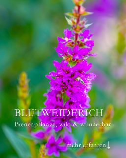 Blutweiderich, Wildstaude für Beet und Kübel
+ Standort: Volle Sonne
+ Naturstandort: Teichufer, Feuchtwiese, Teichrand, entlang von Bachen
+ Die Wildstaude wächst aber auch in ganz normalen Beeten oder großen Pflanzgefäßen.
++ Boden sollte feucht und nahrhaft sein, gerne lehmig.
+ Keine Pflege nötig. Einfach beim Wachsen zusehen.
+ Düngen bei Austrieb und Mitte Juni mit Staudendünger oder Kompost
+ Rückschnitt im Winter oder Vorfrühling
+++ Verblühtes regelmäßig und zeitnah abschneiden verlängert die Blütezeit erheblich!
+++ Schmetterlinge und Wildbienen lieben die wilde Prachtstaude.
++ Gärtnereien führen verschiedene Sorten in Pink und Violett. Diese bleiben kleiner und kompakter als wilder Blutweiderich.
Im Blog: Blutweiderich. Wilde Prachtstaude und Schmetterlingsmagnet
https://www.wo-blumenbilder-wachsen.de/blutweiderich-pflegen-prachtstaude/
Kurzlink: https://www.insbeet.de/Blutweiderich
Weitere Lieblingspflanzen kennenlernen: @mynaturetoprint folgen, diesen Post speichern, gerne auch teilen Dankeschön.
#garten #gartenliebe #gartenideen #gärtnern #stauden #staudengarten #naturgarten #natur #pflanzenliebe #gartentipps #gartenwissen #pflanzen #gartengestaltung #pflanzenpflege #meingarten #bienenweide #insekten #blumengarten #gärtner #gartenglück #wildbienen #gartentipp #grünerdaumen #insektenfreundlich #bienenfreundlich #pflanzenwissen #blume #querbeet #gartenzauber #garteninspiration