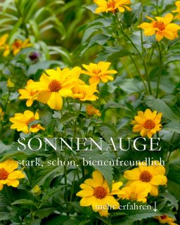Sonnenauge 'Venus'. Bienen im Rausch.

Das Sonnenauge, bot. Heliopsis, ist eine Prachtstaude, die ab Juni und bis in den Herbst hinein blüht. Die großen Blütenbüsche sind DER strahlende Höhepunkt in jedem Staudenbeet und locken unzählige schockverliebte Bienen und Hummeln an.

+ Standort: sonnig bis halbschattig
+ Boden: Nahrhaft, gerne lehmig, sollte auch im Sommer nicht völlig austrocknen.

+ Wuchs: Je nach Sorte 80 - 120 cm hoch und ebenso breit.

Pflege:

+ Düngen im März und Mitte Juni mit Staudendünger oder Kompost.
+ Ausputzen regt neue Blütenbildung an.
+ Im Spätherbst, Winter oder besser noch im Vorfrühling alle Triebe bodentief abschneiden.
+ Gießen bei Trockenheit

+ Stützen sind nicht immer nötig. In Hangbeeten sind Mondstützen jedoch hilfreich. Hohe Sorten kann man auch in ein quer liegendes Gitter wachsen lassen. 

+++ Heliopsis sind gute Schnittblumen und halten sich gut zwei Wochen in der Vase.
 
Auf Heliopsis möchte ich nicht mehr verzichten. Es macht einfach Freude, ihr beim Blühen zuzusehen und den Insekten, die sich an sonnigen warmen Tagen auf den Blüten tummeln.

Im Blog: Sonnenauge Heliopsis, imposante Prachtstaude mit enormer Fernwirkung
https://www.wo-blumenbilder-wachsen.de/sonnenauge-prachtstaude/

Kurz: https://www.insbeet.de/Sonnenauge

#sonnenauge #Sommerblumen #Blumen #garten #gartengestaltung #blumenfotografie #pflanzen #gartenblog #lebenmitblumen #gartentipp #gartenwissen #pflanzenliebe #stauden #staudengarten #Blumengarten #heliopsis #gelb #Sonnenblume #strahlend #bienenpflanze #insektenweide