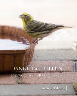 Der vogelfreundliche Garten ist viel mehr als eine Vogeltränke. Aber sie ist bei Hitze und Trockenheit ganz besonders wichtig.
+ Stellen Sie mindestens eine Vogeltränke auf.
+ Täglich reinigen und frisches Wasser auffüllen.
+ Einfache Lösungen sind am besten: Suppenteller, Blumenuntersetzer, alte Pfanne, flache Backschale ...
+ Wasserstand nur 3-4 cm
+ Alternative: Flaches Sumpfbeet in einem 1/4 Holzfass, Weinfass mit eingehängten Ast oder einem Schwimmbrettchen.
+ Standort: wo Katzen nicht unentdeckt lauern können.
Viel Spaß beim Beobachten.
Im Blog: 4 Tipps rund um die Vogeltränke
https://www.wo-blumenbilder-wachsen.de/gute-vogeltraenke-4-tipps/
Kurz: https://www.insbeet.de/Vogeltraenke
#garten #vögel #gartenvögel #naturnah #gartenliebe #vogelbeobachtung #vögel #gartengestaltung #naturgarten #gartentipps #gärtnern #gartentipp #gartenwissen #gartenglück #ziergarten #gartenfragen #meingarten #pflanzenfreunde #kleingarten #insekten #insektenfreundlich #artenvielfalt #blumengarten