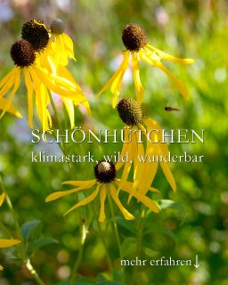 Schönhütchen, klimastark, wild & wunderbar
Das Schönhütchen, bot. Ratibidia pinnata, ist eine extrem robuste Präriestaude. Wo sie sich niederlässt, und das kann auch in einer Pflasterfuge sein, freuen Bienen, Hummeln und Schmetterlinge über reichlich Pollen und Nektar - bis in den Herbst hinein.
+ Standort vollsonnig
+ Boden: gut drainiert, mager, kiesig, sandig, trocken
+ extrem frosthart
+ verträgt Wurzeldruck
+ schlanker, standfester, aufrechter Wuchs bis etwa 170 cm
+ braucht keine Stützen
+ Blütezeit von Juli bis Oktober
+ Pflege: pflanzen, angießen und wachsen lassen
+ Staudenschnitt im Spätherbst oder Winter, je nach Lage
+ Verwelkte Stiele abschneiden verlängert die Blütezeit
Video im Blog: Schönhütchen Ratibidia pinnata, Präriestaude mit Fernwirkung und Charakter
https://www.wo-blumenbilder-wachsen.de/schoenhuetchen-ratibidia-pinnata/
Kurzlink: https://www.insbeet.de/Schoenhuetchen
Weitere Lieblingspflanzen: @MyNaturetoprint folgen und diesen Post speichern.
#klimaschutz #klimawandel #prärie #staudenbeet #zukunftspflanze #staude #staudengarten #blumengarten #stauden #gartentipps #gartenwissen #naturgarten #gartenblog #blumenbeet #gartenblogger #pflanzenliebe #omsystemde #pflanzen #querbeet #gartengestaltung #blumenmachenglücklich #gartenliebe #landhausgarten #insektenfreundlich #gartenpflanzen