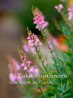 Zukunftspflanzen retten den Garten
Die Hitze ist vorbei, manche (viele) Gärten sind völlig ausgebrannt nach wochenlanger Trockenheit. In anderen Gärten halten klimafeste Pflanzen dagegen und sehen noch immer gut aus. Beispielsweise:
+ Bergenien
+ Fetthennen Sedum
+ Prachtkerze Gaura
+ Purpur-Sonnenhut Echinacea
+ Graslilie
+ Goldmohn
+ Spornblume
+ Katzenminze
+ Lavendel
+ Salbei
+ Walzenwolfsmilch
+ Kleine Kokardenblumen
+ Strauchpfingstrosen
+ Rosen
(…)
Was also tun, um den Garten fit für den Klimawandel zu machen?
+++ Klimafitte Zukunftspflanzen setzen
+++ Boden verbessern mit Bentonit, Perlite und Kompost
+++ Bäume pflanzen
+++ Regenwasser sammeln
+++ Richtig gießen
+++ Habe ich was vergessen? Bitte kommentieren
40 Zukunftspflanzen retten den Garten.
https://www.wo-blumenbilder-wachsen.de/hitze-und-trockenheit-garten-retten/
Kurzlink: https://www.insbeet.de/Hitze
#garten #gartenwissen #gartentipps #hitze #trockenheit #naturgarten #gartenliebe #gärtnern #gartengestaltung #gartenideen #dürre #gartenparadies #gartenarbeit #grünerdaumen #stauden #gartenfragen #gartenpflege #pflanzentipps #meingarten #tippsfürdengarten #sonne #pflanzen #bienen #gartenblogger #wetter #gartensommer #blumen #gartenglück #hitzewelle #heiß