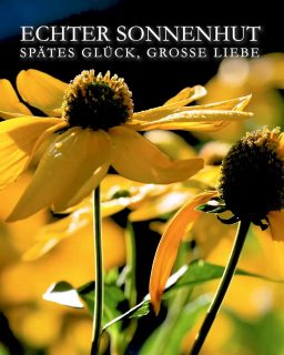 Echter Sonnenhut
Spätes Glück, große Liebe
Echter Sonnenhut, botanisch Rudbeckia, ist eine Staude. Der mehrjährige Spätsommer- und Herbstblüher zieht Bienen und Schmetterlinge an und bringt Licht in jeden Winkel des Gartens.
+ Standort: Sonne bis Halbschatten. Ohne pralle Mittagssonne gedeiht Sonnenhut wesentlich besser.
+ Boden: Normaler Gartenboden, gerne lehmig und nährstoffreich. Er sollte auch im Sommer nicht völlig austrocken.
+ Wuchs und Größe. Riesen-Rudbeckia und gefüllter Sonnenhut Goldball werden in guten Jahren mannshoch, Rudbeckia fulgida und Oktober-Sonnenhut etwa 60-80 cm. Nur 40-50 cm wird dagegen Little Goldstar.
+ Blütezeit: je nach Sorte ab Juli bis zum Frost.
+ Pflege: Rudbeckia ist völlig unkompliziert und eine damit ideal für Anfänger. Durst zeigt die Staude sehr deutlich durch hängende Blätter an. Große Hitze und Trockenheit ist ihre Sache nicht, aber mit viel Wasser übersteht Rudbeckia auch extreme Hitzewellen wie dieses Jahr.
+ Ausputzen ist sehr wichtig! Sobald die Pflanzen Samen ansetzen, hören sie zu blühen auf.
+ Vermehrung: Echter Sonnenhut vermehrt sich gerne selbst. Man findet die markanten breiten Blätter im Frühling überall. Wo ein Sämling auftaucht, sollte man ihn möglichst auch lassen, weil er dort am besten wächst. Störende Sämlinge einfach woanders hinsetzen.
Teilen Sie die Staude alle vier bis fünf Jahre damit sie vital und blühfreudig bleibt.
+ Rudbeckien sind gute Schnittblumen.
+ Herkunft: Gelber Sonnenhut Rudbeckia stammt aus Nordamerika. 16 Arten der Gattung Sonnenhut gehören zur Familie der Korbblütler.
Im Blog: Rudbeckia-Sorten und ihre Besonderheiten sowie Pflanzpartner
https://www.wo-blumenbilder-wachsen.de/gelber-sonnenhut-rudbeckia/
Kurzlink: http://www.insbeet.de/GelberSonnenhut
#sonnenhut #rudbeckia #blumengarten #staudengarten #bienenliebe #gartentipps #gartenblog #1000gutegruende #naturfotografie #pflanzenwissen #gelb #lumixphotography #gartenpflanzen #gartenwissen