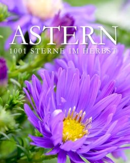 Geliebte Astern
1001 Sterne im Herbst
Astern blühen wochenlang, sind anspruchslos und pflegeleicht. Zudem locken sie Bienen, Hummeln und Schmetterlinge an, die in den bunten Sternblüten auch noch im Spätherbst reichlich Pollen und Nektar finden.
Standort: volle Sonne bis lichter Halbschatten, luftig
Boden: nährstoffreich, gerne auch lehmig
Wuchs: von 15 cm bis 150 cm
+ Teppichastern umspielen harte Kanten, hängen über Mauern und Stufen.
+ Kissenastern werden etwa 30 - 50 cm, sie sind vielseitige Wegbegleiter im Vordergrund.
+ Hohe Astern brauchen oft Stützen oder einen Zaun, um sich anzulehnen.
Pflegen:
Düngen im März bei Austrieb und Mitte Juni mit Kompost, Hornspänen oder Bio-Staudendünger.
Bodentiefer Rückschnitt nach der Blüte verhindert Selbstaussaat.
Vermehren:
Astern vermehren sich stark durch Selbstaussaat und sie bilden viele Ausläufer. Aus jedem Wurzelstück mit Spross entsteht eine neue Pflanze.
Krankheiten:
+ Mehltau -> Abhilfe schafft ein Rückschnitt im Frühsommer oder spritzen mit Milch-Wasser im Verhältnis 2 zu 8. Ein sonniger, luftiger Standort in nahrhafter Erde ist wichtig, damit Mehltau erst gar nicht entsteht.
+ Welke zeigt sich durch schwarze Blätter. Kranke Pflanzen unbedingt ausgraben und im Restmüll entsorgen.
Tipp: Achten Sie schon beim Kauf auf Mehltau und Welke resistente Sorte und Standfestigkeit.
Im Blog: Gesunde Astern pflanzen, pflegen und lieben
https://www.wo-blumenbilder-wachsen.de/astern-pflanzen-pflegen-lieben/
Kurzlink: https://www.insbeet.de/Asternliebe
#astern #garten #stauden #pflanzen #staudengarten #pflanzenliebe #gartengestaltung #gärtner #gartenparadies #garteninspiration #gartenzeit #naturgarten #bienen #bienenfreundlich #gartentipps #gärtnern #gartenwissen #herbstgarten #herbst #pflanzenpflege #bienenweide #insekten #vorgarten #gartenträume #blumengarten #gartenjahr #insektenfreundlich #landhausgarten #wirliebenpflanzen #lumixphotography