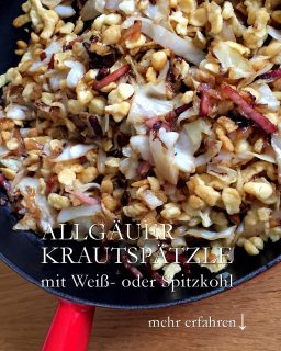 Spätzle gehen immer, Krautspätzle erst recht. Wenn es draußen herbstelt, darf das Essen gerne deftig sein und mit frischen Zutaten aus der Region.

Krautspätzle gibt es in 2 Variationen: Mit Sauerkraut oder mit frischen Spitzkohl oder Weißkohl. Beide Varianten schmecken und bringen die Familie schnell an den Tisch.

Spätzle:
+ Pro Person 100 g Mehl + 1 Ei zu einem Teig kneten bis er Blasen wirft.
+ Großen schweren Topf mit Wasser + Salz zum Kochen bringen.
+ Spätzleteig portionsweise in einen Spätzlehobel geben und ins kochende Wasser hobeln.
+ Sobald die Spätzle oben schwimmen, sind sie fertig.
+ Mit Schaumlöffel rausnehmen, im Sieb kurz abbrausen und zur Seite stellen.

Weißkohl / Spitzkohl vom Strunk befreien
+ in große Streifen / Stücke schneiden
+ in einem großen Topf erst Butterschmalz + Zucker schmelzen
+ mit 1-2 EL Essig ablöschen
+ Zwiebelwürfel und
+ Kohl dazu geben
+ würzen mit Kümmel + Pfeffer
+ 20 min sanft garen
+ Salz erst zum Schluss dazugeben
+ dann abgießen und gut abtropfen lassen.

Speckwürfel nach Geschmack auslassen

Große schwere Pfanne bei mittlerer Hitze aufsetzen
+ Butterschmalz schmelzen
+ erst Zwiebelwürfel, dann Kraut anbraten
+ wenn es Farbe angenommen hat
+ Spätzle dazu geben
+ Speck
++ abschmecken mit Salz, Pfeffer, Kümmel

Heiß in der Pfanne servieren. Guten Appetit

Rezepte für Spätzle und Krautspätzle in zwei Varianten:

Im Blog: Allgäuer Krautspätzle nach Oma Agnes https://www.wo-blumenbilder-wachsen.de/allgaeuer-krautspaetzle-mit-jaroma/

Kurz: https://www.insbeet.de/Krautspaetzle

#kochen #gutenappetit #spitzkohl #mittagessen #kochenistliebe #ausliebezumessen #superlecker #selbstgemacht #schmeckt #spätzle #kraut #rezept #waskocheichheute #rezeptaufdemblog #hausmannskost #lecker #sogut #einfachlecker #sauerkraut #kohl #weißkohl #pfannengericht #herzhaft #rezeptideen #familienessen